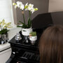 Witte orchidee en succulent op zilveren dienblad